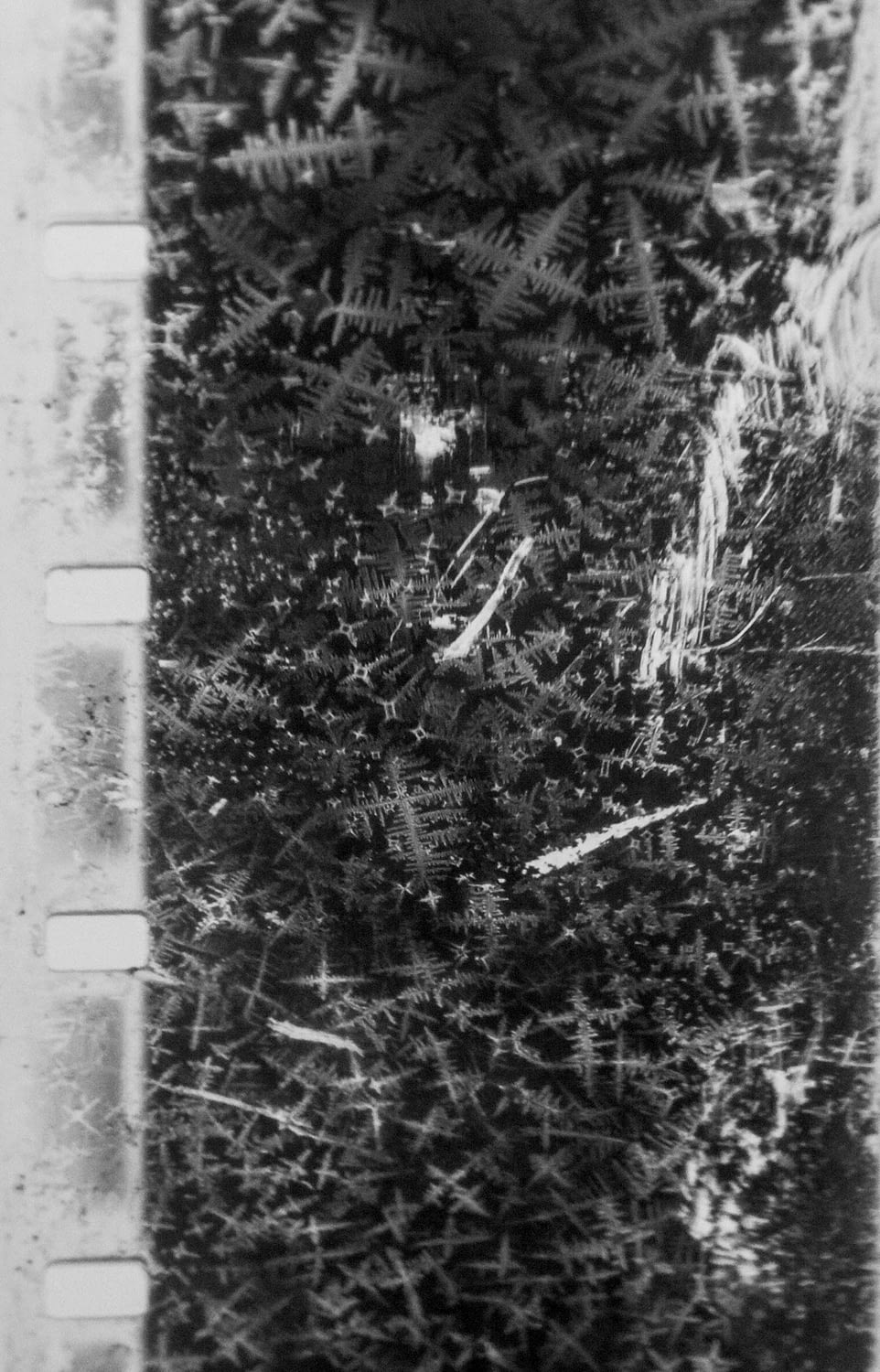 Image 1: Assimilate and Destroy I, still from 16mm film exposed to salt, 2018.